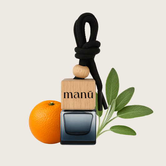Citrus Sage Car Diffuser / Car Air Freshener